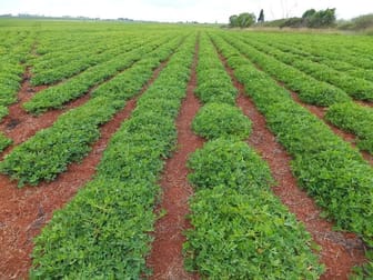 Memerambi QLD 4610 - Image 1