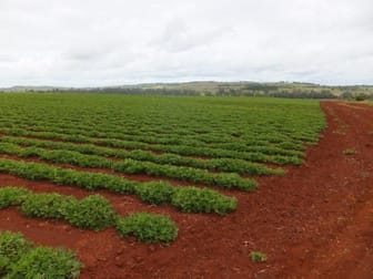 Memerambi QLD 4610 - Image 3