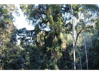 Lot 81&82 Baxters Ridge Road Gloucester NSW 2422 - Image 1