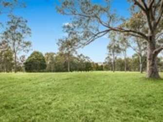 Click to view all images Lot 53 Black Hill Road Black Hill NSW 2322 - Image 3