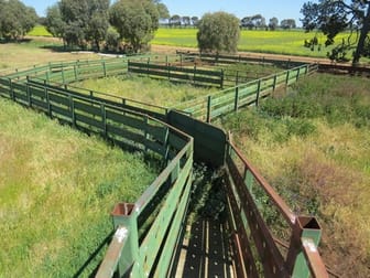 163 Holzigals Road Finley NSW 2713 - Image 2