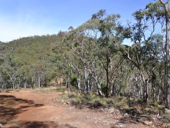 Lot 202 Great Western Highway Marrangaroo NSW 2790 - Image 3