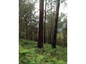 Gloucester NSW 2422 - Image 1