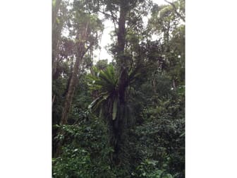 Gloucester NSW 2422 - Image 3