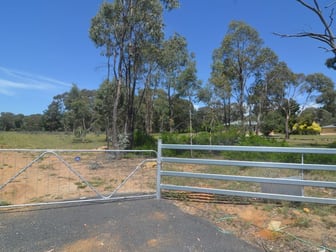 Lot 102 Oakey Forest Road Marrangaroo NSW 2790 - Image 1