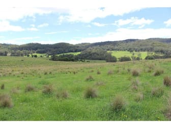 Click to view all images Nowendoc NSW 2354 - Image 3