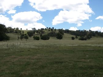 Click to view all images 499 Davidsons Lane Tamworth NSW 2340 - Image 3