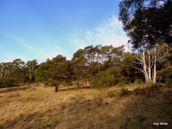 86 Grey Gums Rd Majors Creek NSW 2622 - Image 2