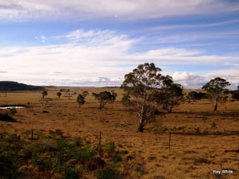 86 Grey Gums Rd Majors Creek NSW 2622 - Image 1
