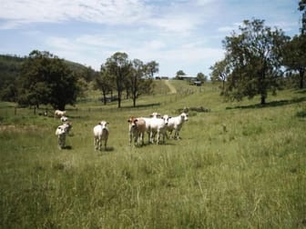 Anduramba QLD 4355 - Image 3