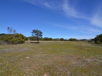 Lot 10 Great Western Highway Mount Lambie NSW 2790 - Image 1