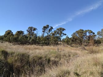 Lot 1 Great Western Highway Meadow Flat NSW 2795 - Image 3