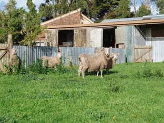 31 McColls Rd Port Fairy VIC 3284 - Image 3