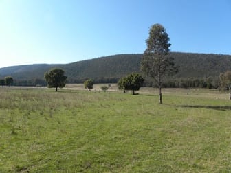 597 Fishers Lane Young NSW 2594 - Image 3