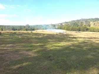 624 Tabulam Rd Lower Bottle Creek NSW 2469 - Image 3
