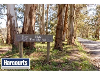 2637 Willow Grove Road Hill End VIC 3825 - Image 3