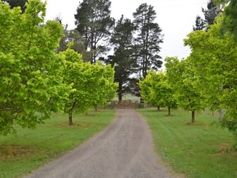 281 Inverary Road Paddys River NSW 2577 - Image 3