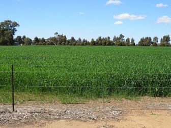 21380 Riverina Highway Deniliquin NSW 2710 - Image 2