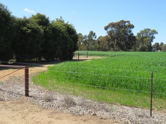 21380 Riverina Highway Deniliquin NSW 2710 - Image 3