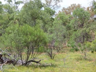 . Greens Paddock, Bourke Bourke NSW 2840 - Image 1