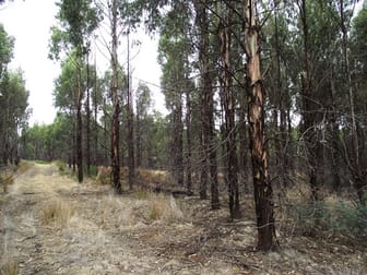 70 Blue Hills Road Copping TAS 7174 - Image 1