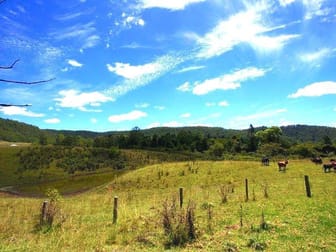 181 Lindsay Rd Bentley NSW 2480 - Image 1