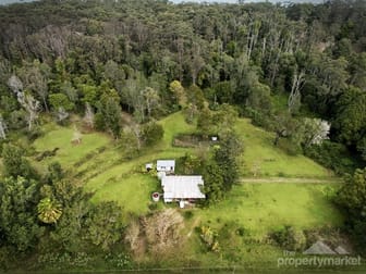 81 Peach Orchard Road Ourimbah NSW 2258 - Image 1