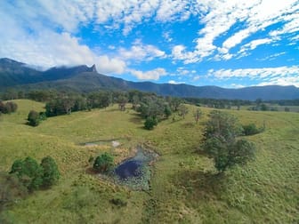 477 Pinnacle Road Tyalgum NSW 2484 - Image 2