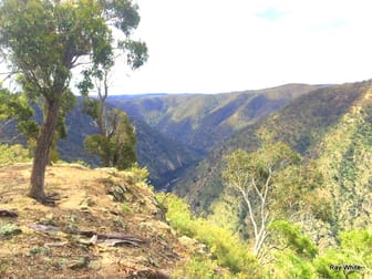 38 Mckane Road Windellama NSW 2580 - Image 1