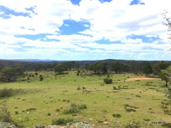 38 Mckane Road Windellama NSW 2580 - Image 3