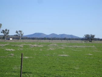 Lot/182dp Lachlan Valley Way Lake Cargelligo NSW 2672 - Image 2