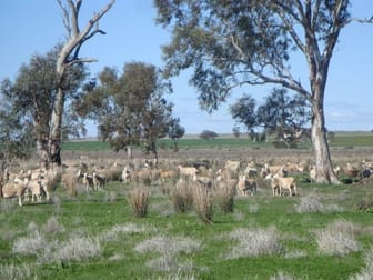 Lot/182dp Lachlan Valley Way Lake Cargelligo NSW 2672 - Image 3