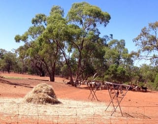 Cobar NSW 2835 - Image 3