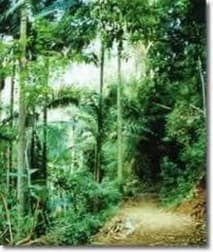 Click to view all images Lot 35 Weller Road Ravensbourne QLD 4352 - Image 2