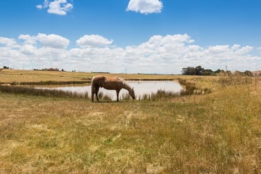 1515 Gurrundah Rd Goulburn NSW 2580 - Image 3