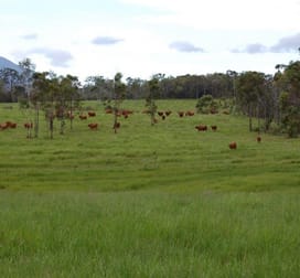 JULATTEN PARK Euluma Creek Road Julatten QLD 4871 - Image 2