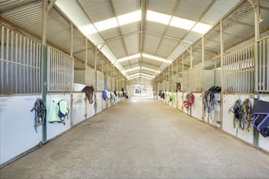 50+ Stables for sale kembla grange info