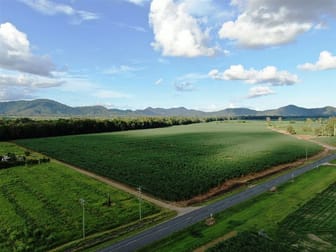 4815 Mackay-Eungella Road, Finch Hatton QLD 4756 - Rural 