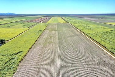 32862 Bruce Highway Horseshoe Lagoon Qld 4809 Rural Farming For Sale Commercial Real Estate