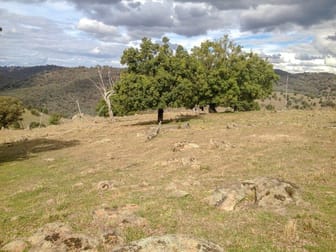 2022 The Bridle Track Bruinbun Nsw 2795 Sold Rural Farming