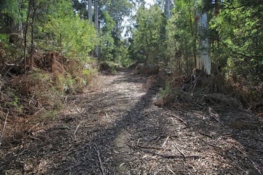 Lot 1 Tasman Highway, Goshen TAS 7216 - Sold Rural 