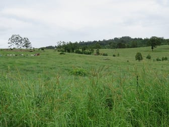 31 35 Dyraaba Street Bonalbo Nsw 2469 Rural Farming For Sale Commercial Real Estate