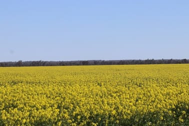 Tottenham NSW 2873 - Sold Rural & Farming | Commercial ...