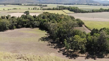 47061 Bruce Highway Ingham Qld 4850 Rural Amp Farming For