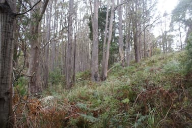 0 Farrells Road, Reedy Marsh TAS 7304 - Sold Rural ...