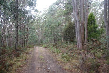 0 Farrells Road, Reedy Marsh TAS 7304 - Sold Rural ...