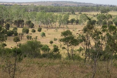 557 BISHOP RD, Garnant QLD 4702 - Rural & Farming For Sale