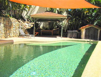 Business for sale airlie beach