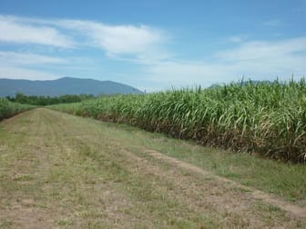 96 Gandini Road Giru Qld 4809 Rural Amp Farming For Sale