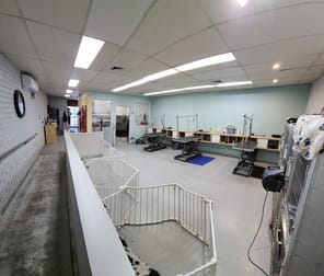 Dog grooming cheap salons for sale